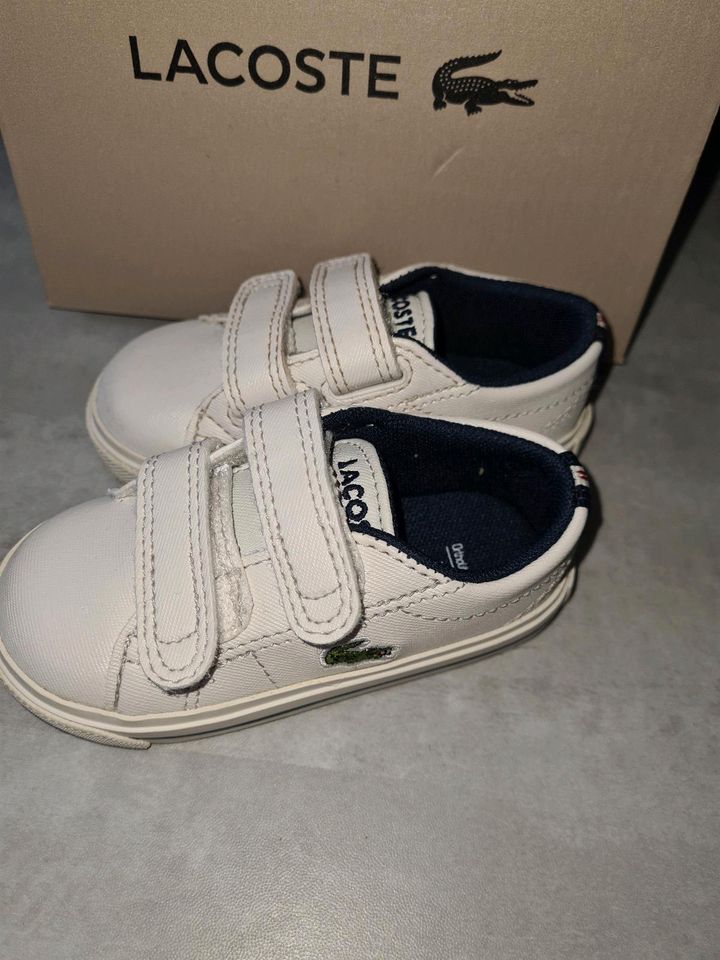 Babyschuhe Lacoste Gr. 19 in Contwig