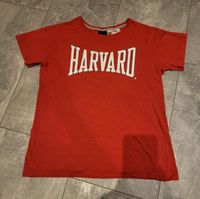 T-Shirt Harvard 146/152 H&M Niedersachsen - Beckedorf Vorschau