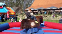 Bull riding S Rodeo Bullen reiten  mieten leihen Hüpfburg Niedersachsen - Vechta Vorschau