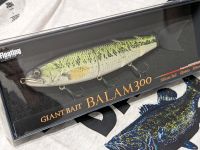 Madness Balam 300 Real Black Bass Neu in OVP Japan Swimbait Dresden - Hellerau Vorschau