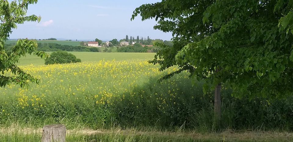 Ferienhaus, Ferienwohung zw. Dresden und Meißen zu vermieten in Klipphausen