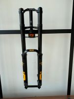 NEU Öhlins DH 38 AIR TTX Gabel 29” Bayern - Lindau Vorschau