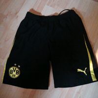 BVB Short Trainingshose Gr. 164 Nordrhein-Westfalen - Siegen Vorschau