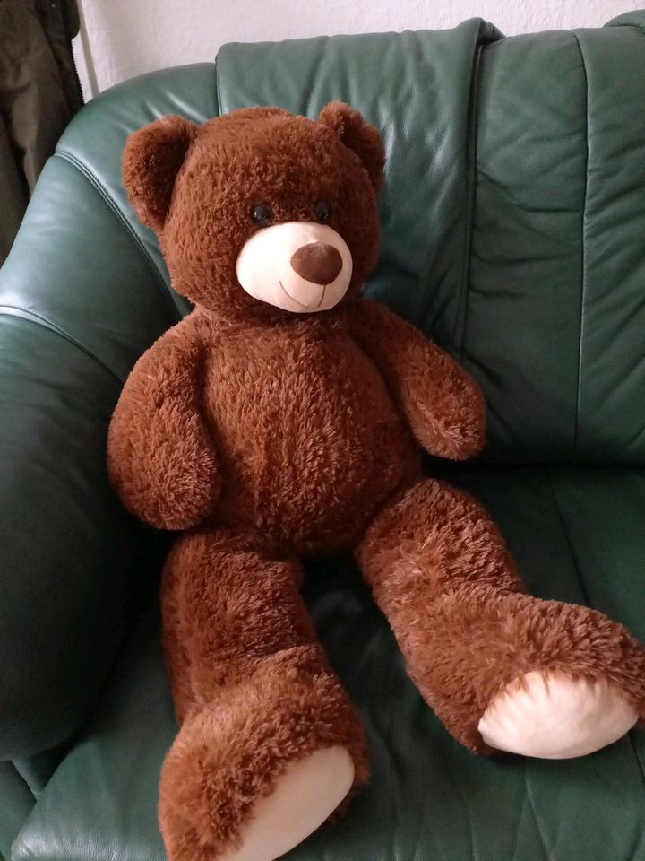 Teddybär groß in Dresden