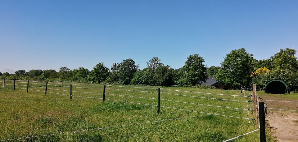 Offenstall Weide in Norderstedt Friedrichsgabe an Selbstversorger in Norderstedt