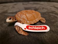 Schleich echte Karettschildkröte,neu,Schildkröte München - Schwabing-Freimann Vorschau