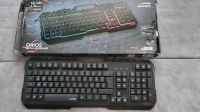 Gaming Tastatur Speedlink ORIOS RGB Metall Brandenburg - Falkensee Vorschau