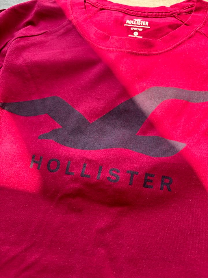 Hollister Herren Shirt M in Rövershagen