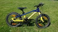 Mondraker Leader 16 Kinder Fahrrad MTB mit Gangschaltung Bayern - Feldkirchen-Westerham Vorschau