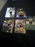 Autogramme BVB Legenden Niedersachsen - Winsen (Luhe) Vorschau