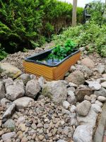 HOCHTEICH TERRASSENTEICH BALKONTEICH MINI-TEICH DOUGLASIE Niedersachsen - Stinstedt Vorschau