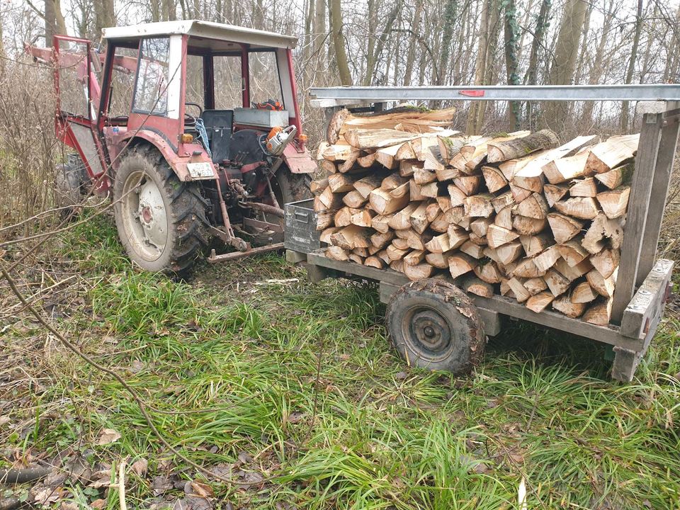 Einachser für Holztransport in Neuried
