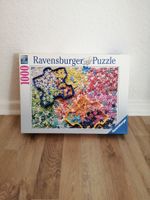 Bunte Puzzleteile Ravensburger Puzzle 1000 Teile Niedersachsen - Stadthagen Vorschau