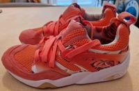 Neue Puma Schuhe Gr. 37 Hessen - Herborn Vorschau