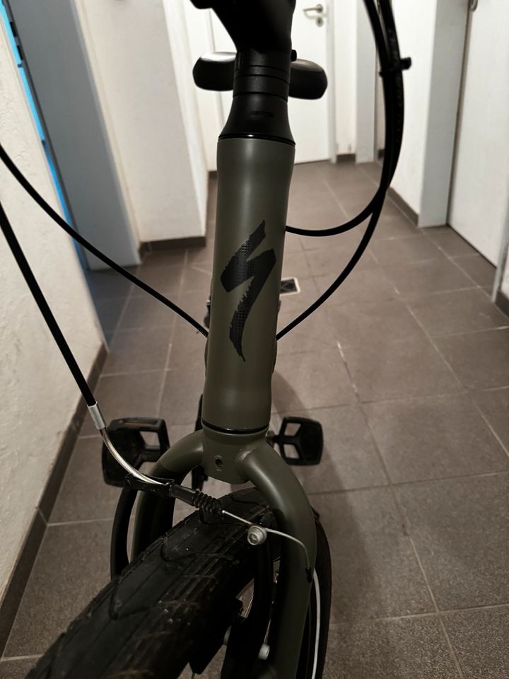 Specialized Roll Sport EQ Oliv Gr. M in Alsdorf