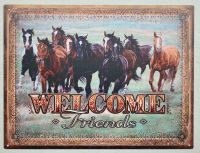 Blechschild Pferde Welcome Friends Wanddeko Metall 33x25 cm NEU Niedersachsen - Bissendorf Vorschau