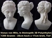 Büste Venus von Milo Steinoptik 28 x 17cm wie 3D Hessen - Roßdorf Vorschau