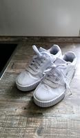 Puma Schuhe Sachsen - Görlitz Vorschau