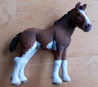 Schleich  Clydesdale Fohlen 13810 Schleswig-Holstein - Sülfeld Vorschau