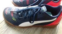 Neuwertige Sportschuhe, Fussballschuhe Puma evo Power 32 Niedersachsen - Osterholz-Scharmbeck Vorschau