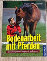 Bodenarbeit mit Pferden, abwechslungsreiche Übungen Sigrid Schöpe Sachsen - Großharthau-Seeligstadt Vorschau