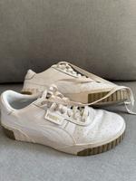 Puma Damen Brandenburg - Wittstock/Dosse Vorschau