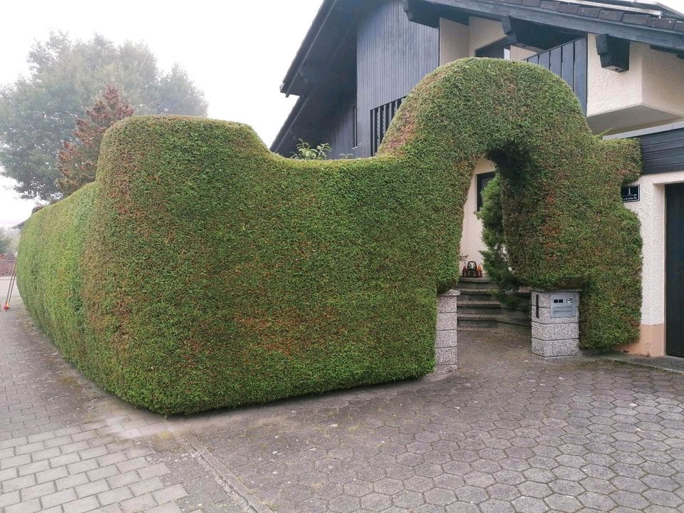 Gartenpflege Gartenarbeiten in Ingolstadt
