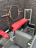 Nautilus Beinbeuger Legcurl liegend / gym80 fitness gym Rheinland-Pfalz - Mutterstadt Vorschau