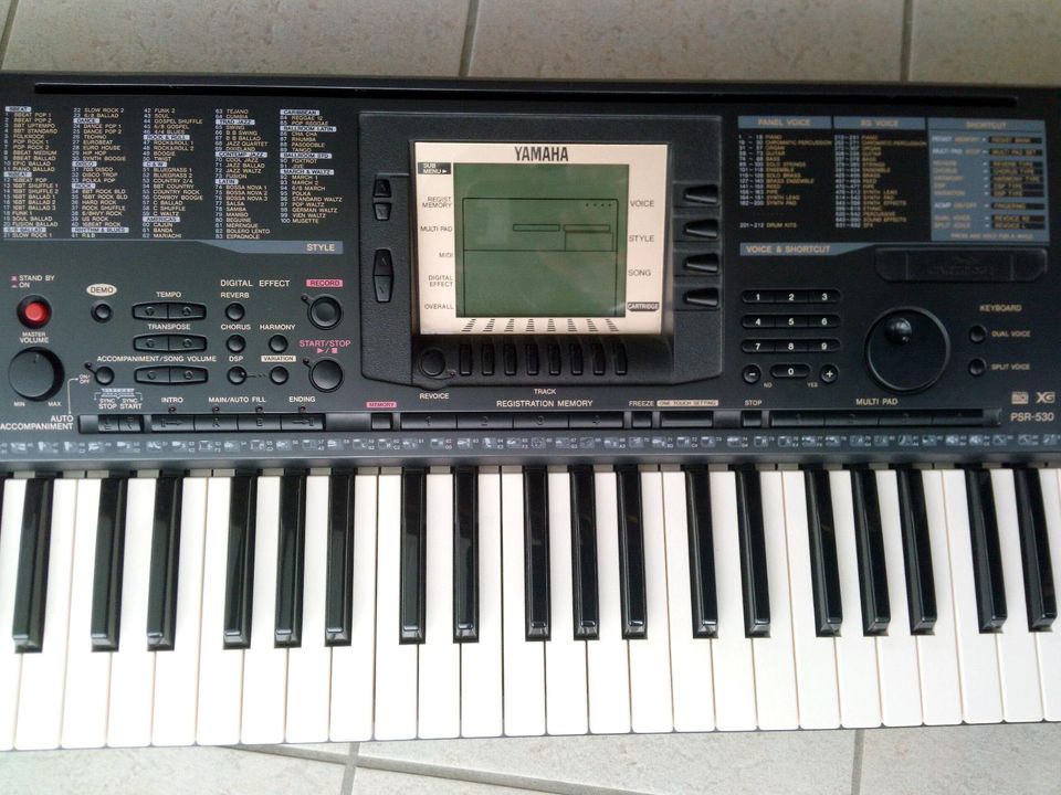 Musikinstrumente / Keyboard in Surberg