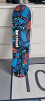 Skatebord Katebord Profi Nürnberg (Mittelfr) - Südstadt Vorschau