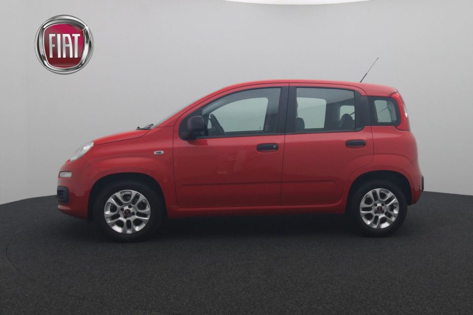 Fiat Panda 1.2 Easy KLIMA 1.HAND in Sögel