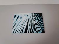 Wandbild Zebra Bild Leinwand Nordrhein-Westfalen - Tönisvorst Vorschau