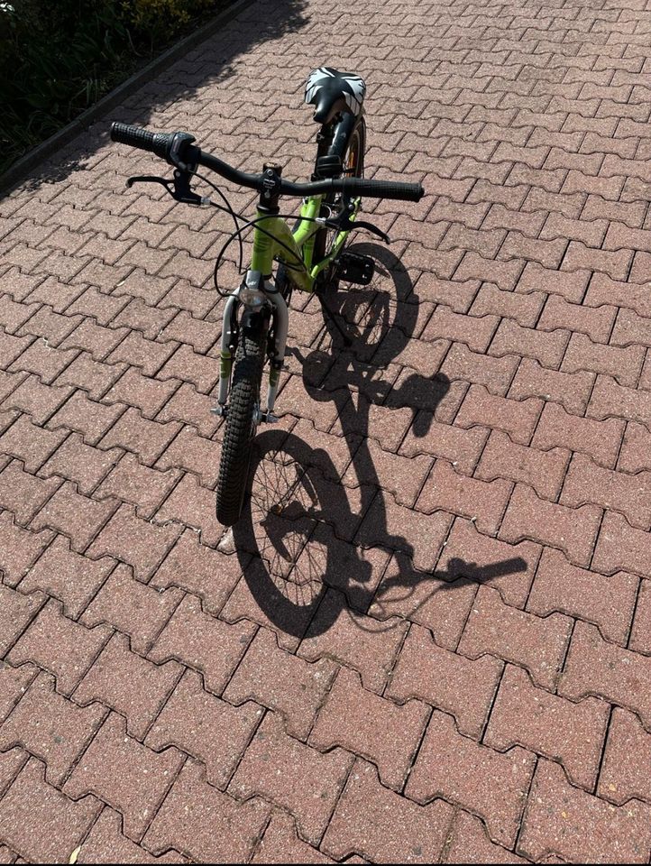 Fahrrad Kinderfahrrad in Beelitz