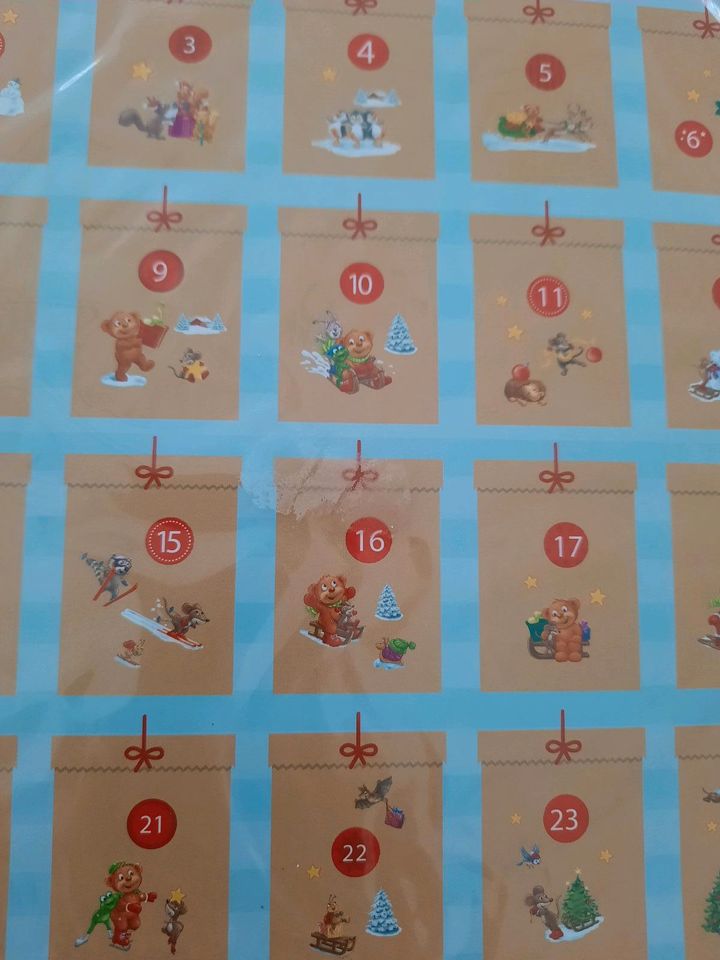 Adventskalender  Kalender SauBär Bastelset NEU DM Drogerie in Weißenfels