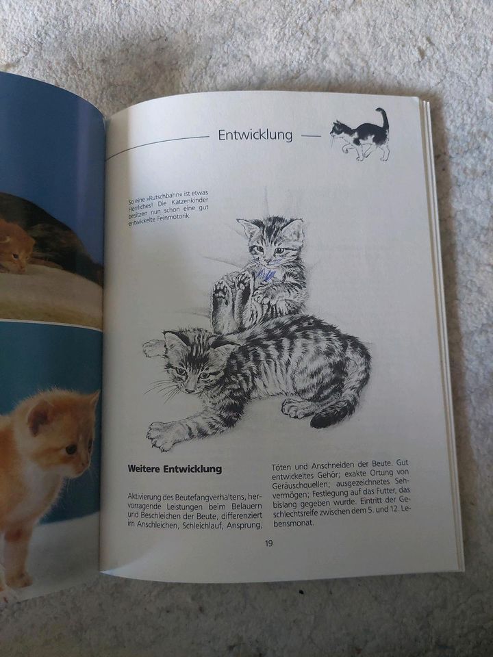 Unser Katzenkind, Erziehungsbuch für Katzen in Jena