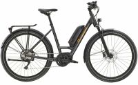 E-Bike Trek. Diamant Zing Deluxe+ Tiefeinstieg UVP: 3369,- € Thüringen - Stadtroda Vorschau