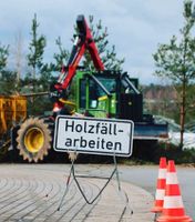 Problem Baumfällung, Rodung, Bauplatz Rodung Rheinland-Pfalz - Kaiserslautern Vorschau