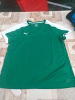Puma  Sport  shirt  gr  42 Sachsen-Anhalt - Osterburg Vorschau