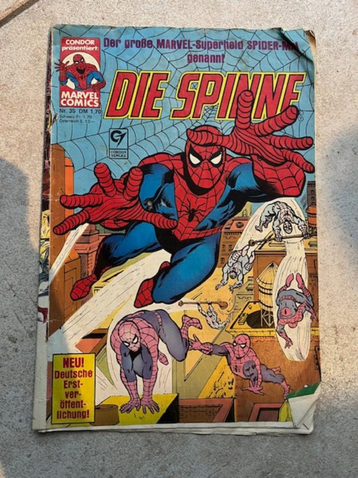 Comics Sammlung Die Spinne, Superman, Gerechtigkeitsliga in Warberg