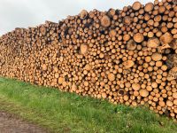 Brennholz 2m Fichte Bayern - Oberviechtach Vorschau