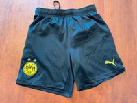 BVB Fußball Shorts 152 Köln - Ehrenfeld Vorschau