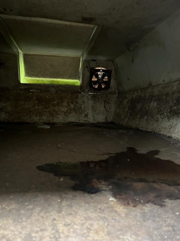 Ferkel Boxen . Ferkel Zucht . Aufzucht Box .Hühnerstall in Gieboldehausen