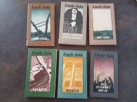 Emile Zola - verschiedene Titel Nordrhein-Westfalen - Schwerte Vorschau