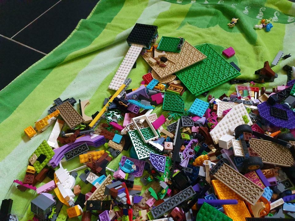 Riesen Konvolut von Lego Elves und Lego Friends in Tappenbeck