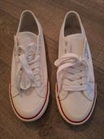 Schuhe levis Niedersachsen - Barßel Vorschau