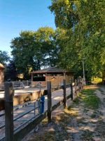 Urlaub mit Pferd Sachsen-Anhalt - Wernigerode Vorschau