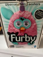 Hasbro 2013 Furby Pink in Original Verpackung Hamburg-Mitte - Hamburg Hamm Vorschau