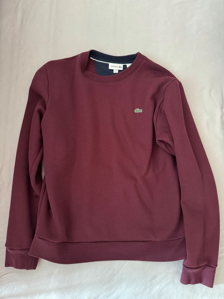 Lacoste Herrenpullover Pullover Weinrot in Grünberg