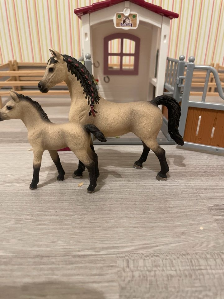 schleich 42369 Pferdebox mit Arabern und Pferdepflegerin, in Baesweiler