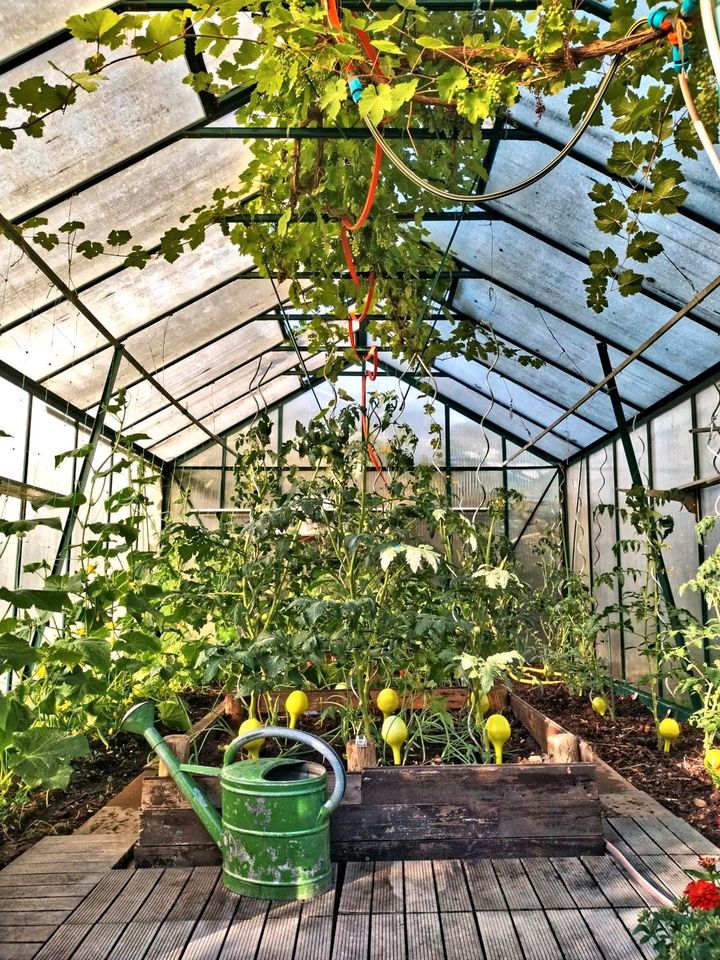 Tausch Garten Stuttgart Zuff Scheune Grundstück Gartengrundstück in